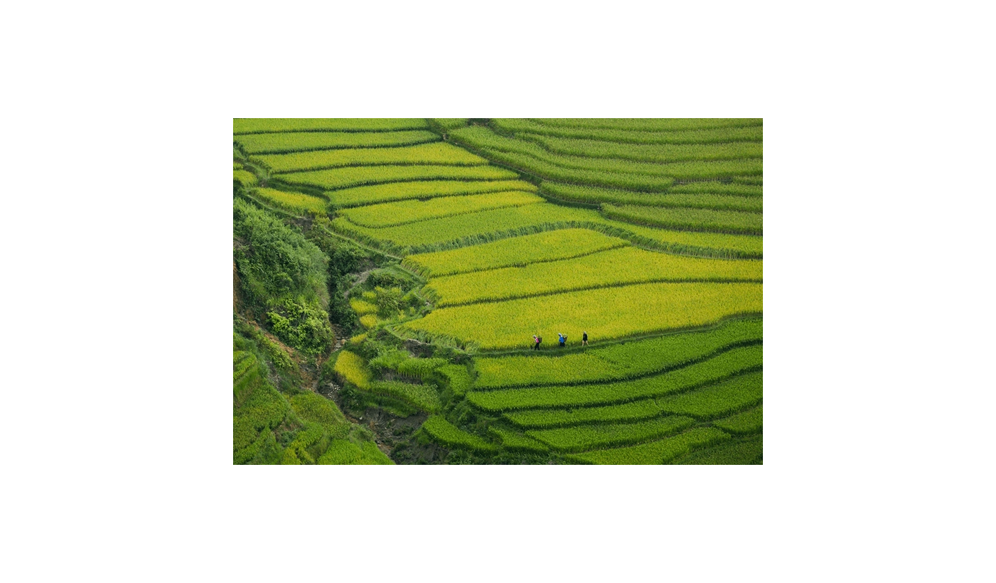 Build a Unified Data
Ecosystem