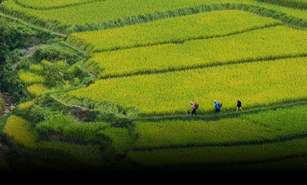 Build a Unified Data
Ecosystem